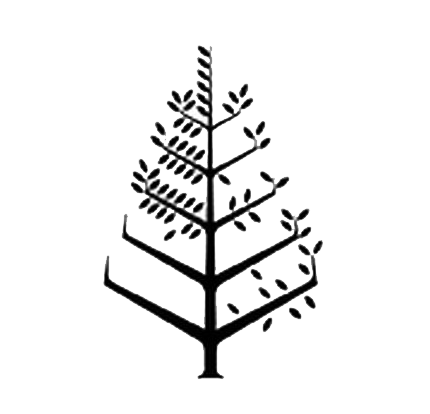 利雅得王国中心四季酒店 Logo